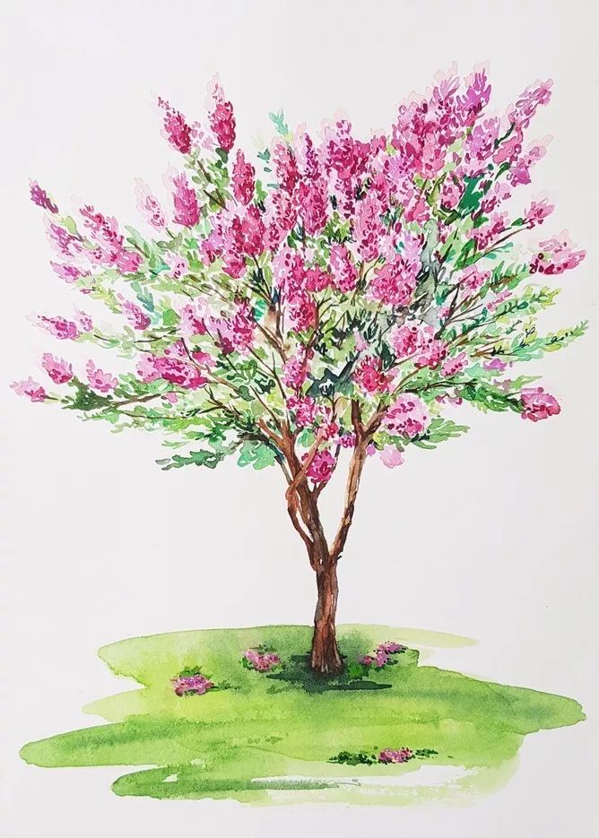 四季水彩花卉插畫，驚艷唯美!