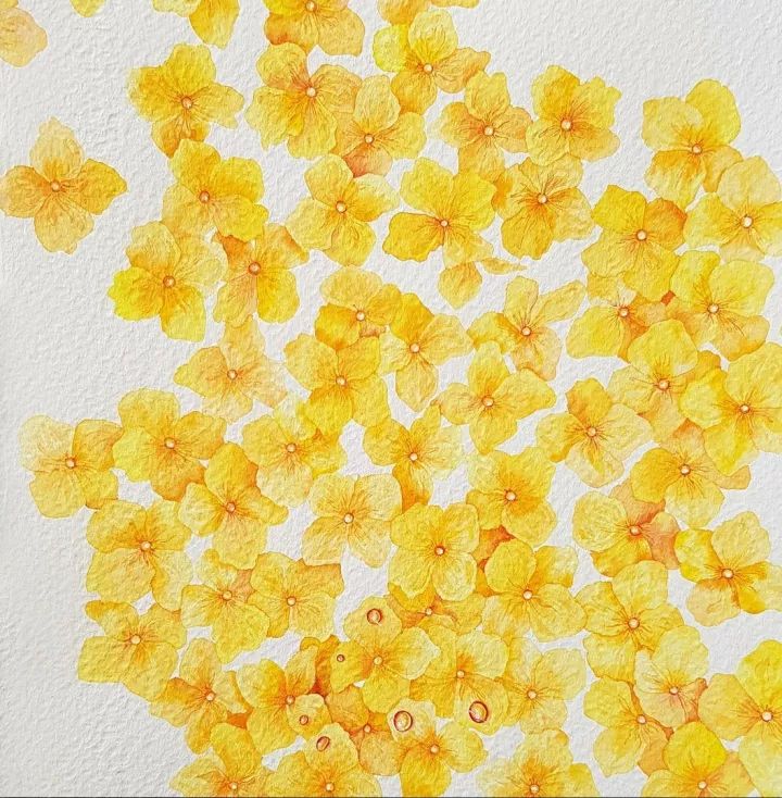 四季水彩花卉插畫，驚艷唯美!