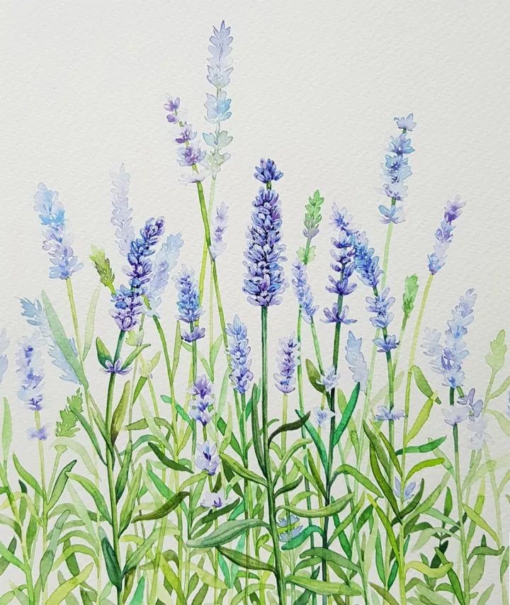 四季水彩花卉插畫，驚艷唯美!