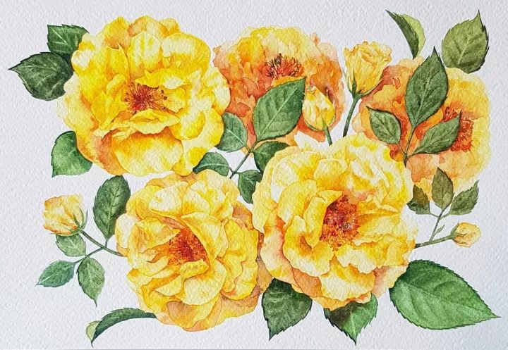 四季水彩花卉插畫，驚艷唯美!
