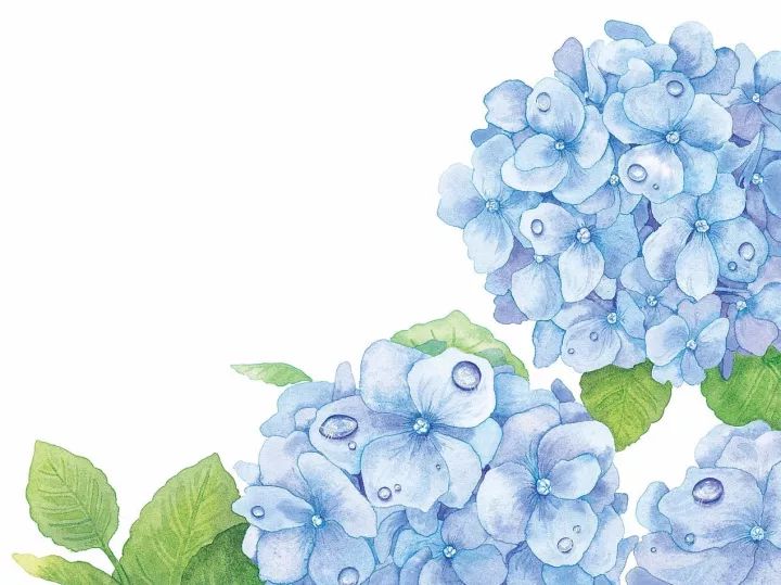 四季水彩花卉插畫，驚艷唯美!