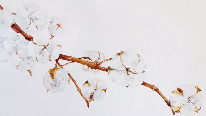 四季水彩花卉插畫，驚艷唯美!