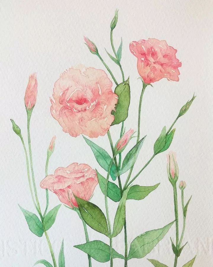 四季水彩花卉插畫，驚艷唯美!