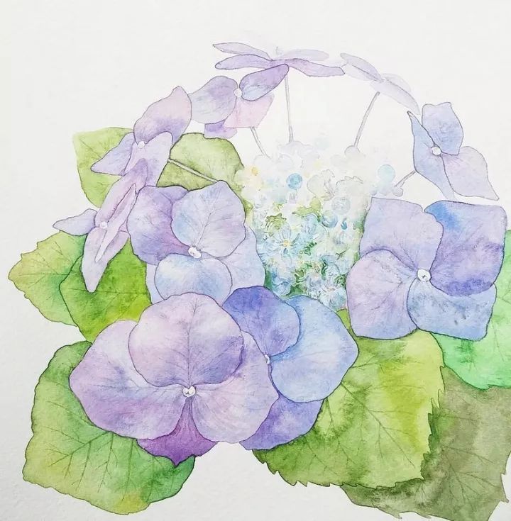 四季水彩花卉插畫，驚艷唯美!