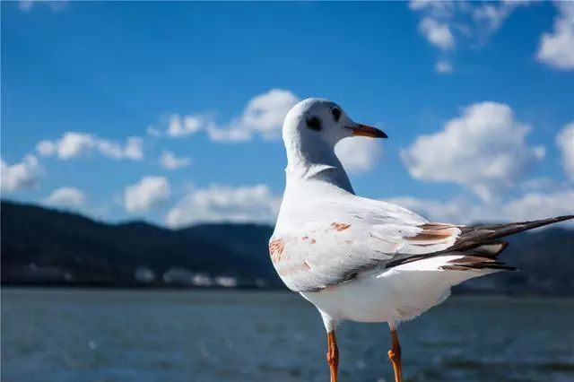 昆明·will酒店，守著這份初心遇見有趣的靈魂
