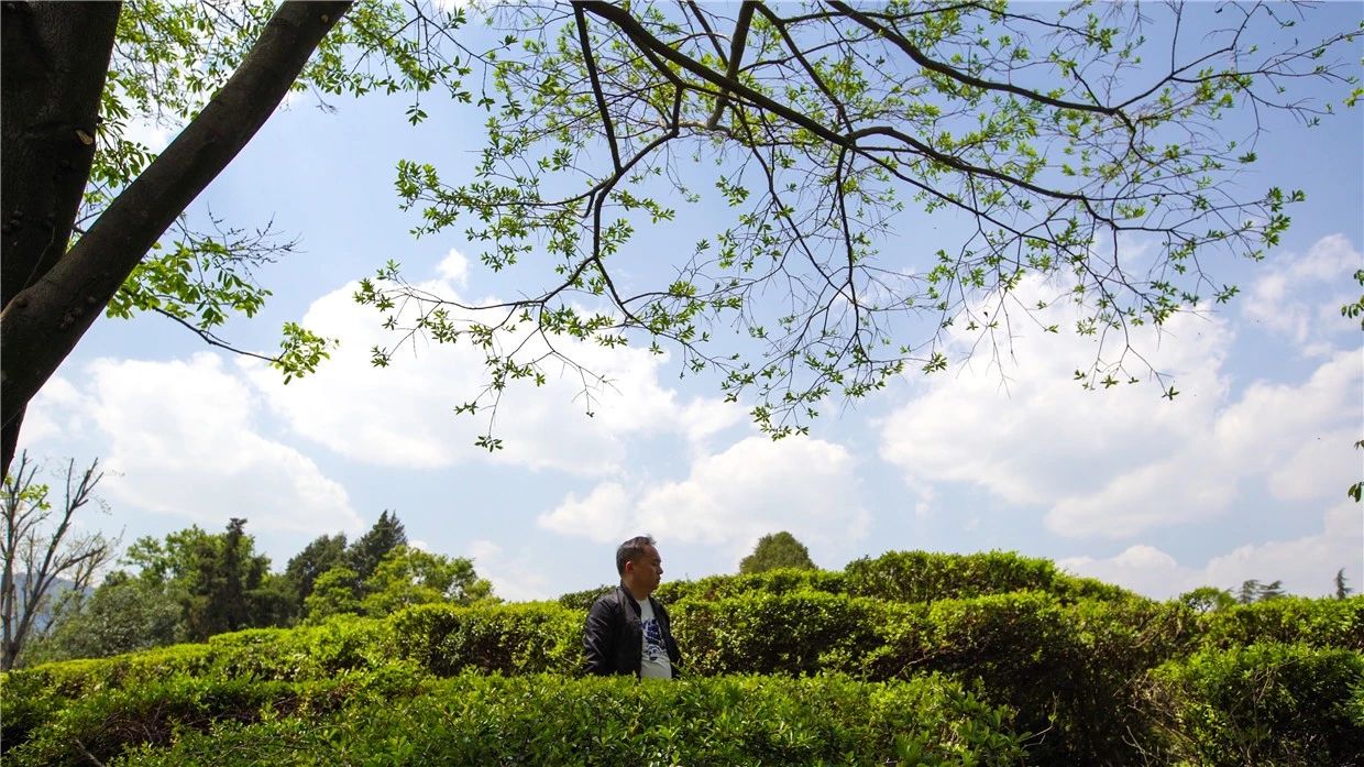 昆明·will酒店，守著這份初心遇見有趣的靈魂