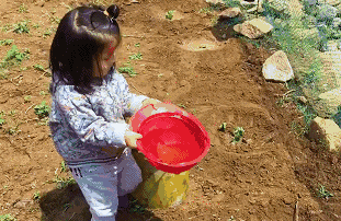 青島·町舍，風(fēng)花雪月的景卻歷久彌新！