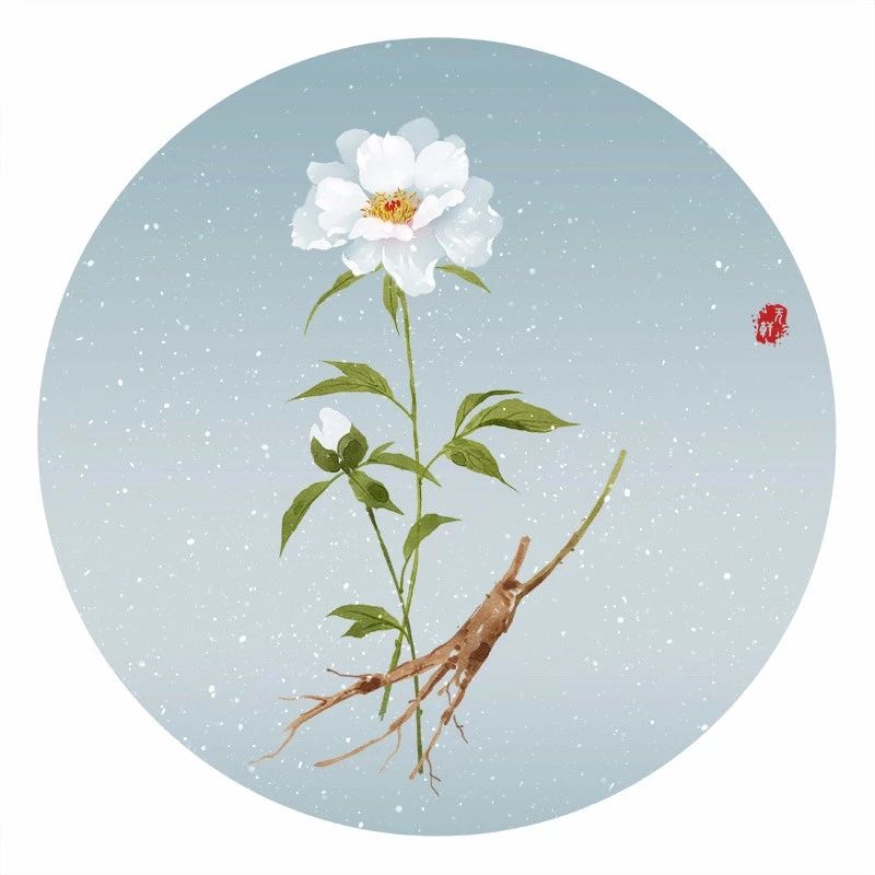 清新古風(fēng)花卉插畫(huà)，清雅如詩(shī)的插畫(huà)圖片