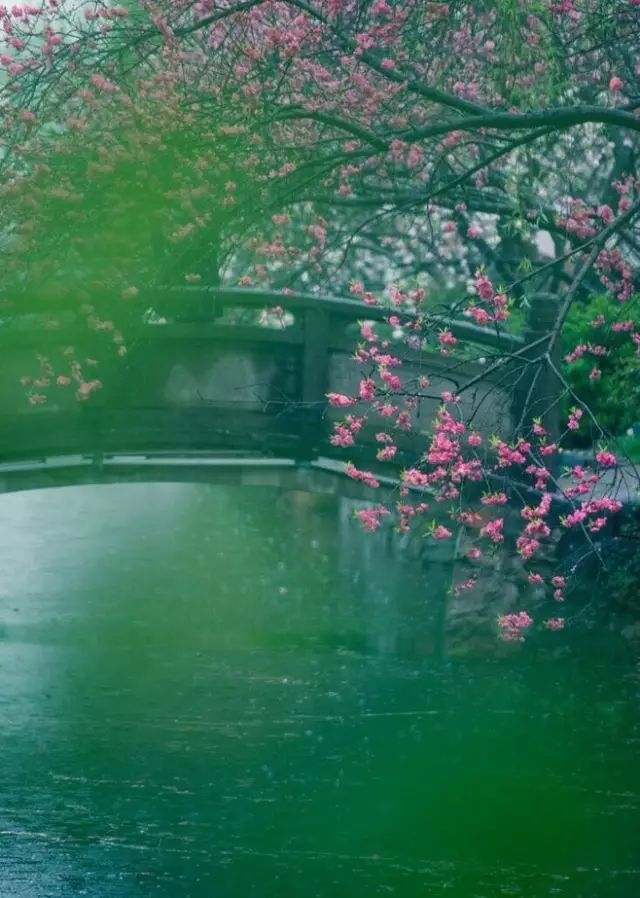 最美江南風景：人間最憶江南春