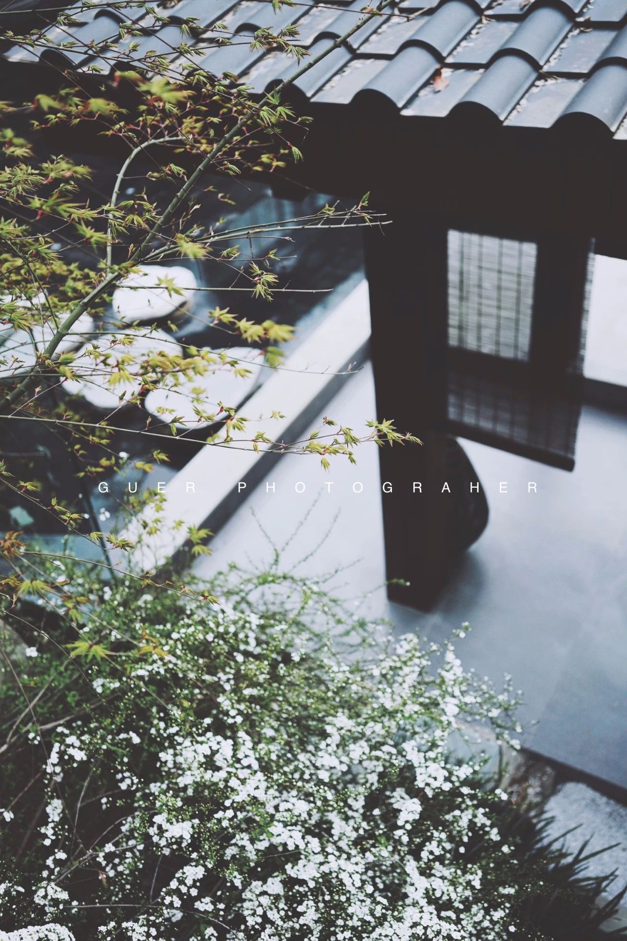 成都·坐忘森林，一宿一悟在火鍋之城住森林里