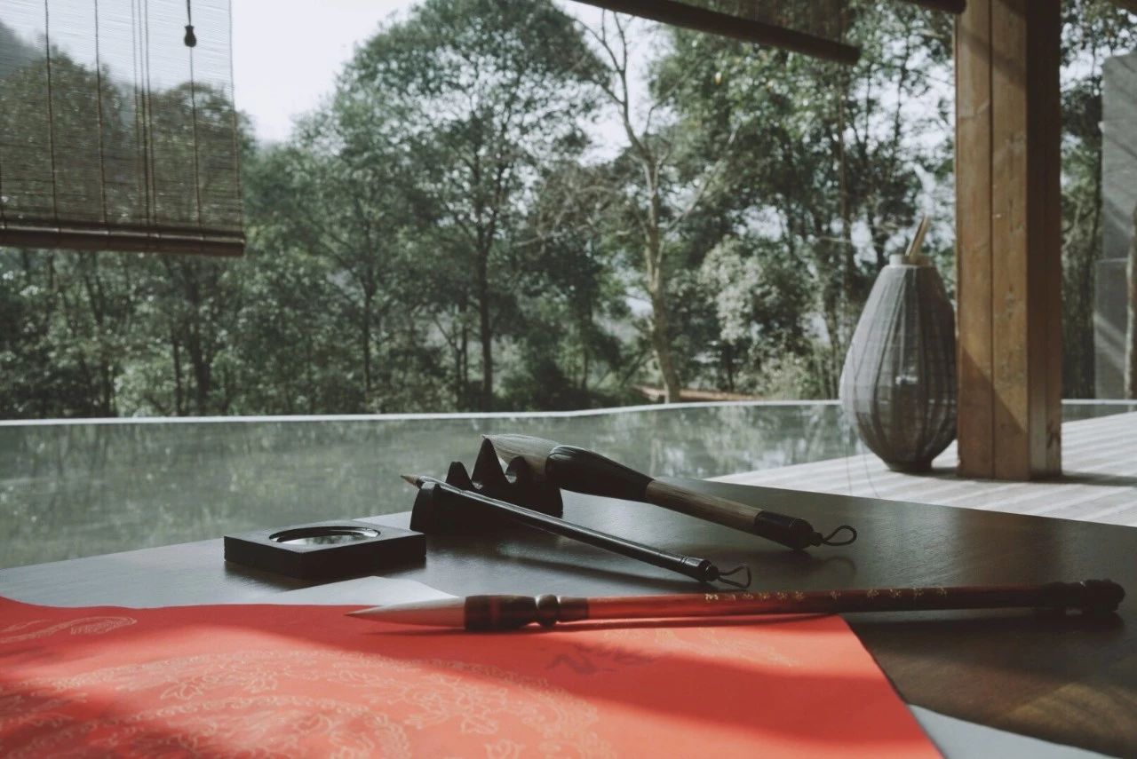 成都·坐忘森林，一宿一悟在火鍋之城住森林里