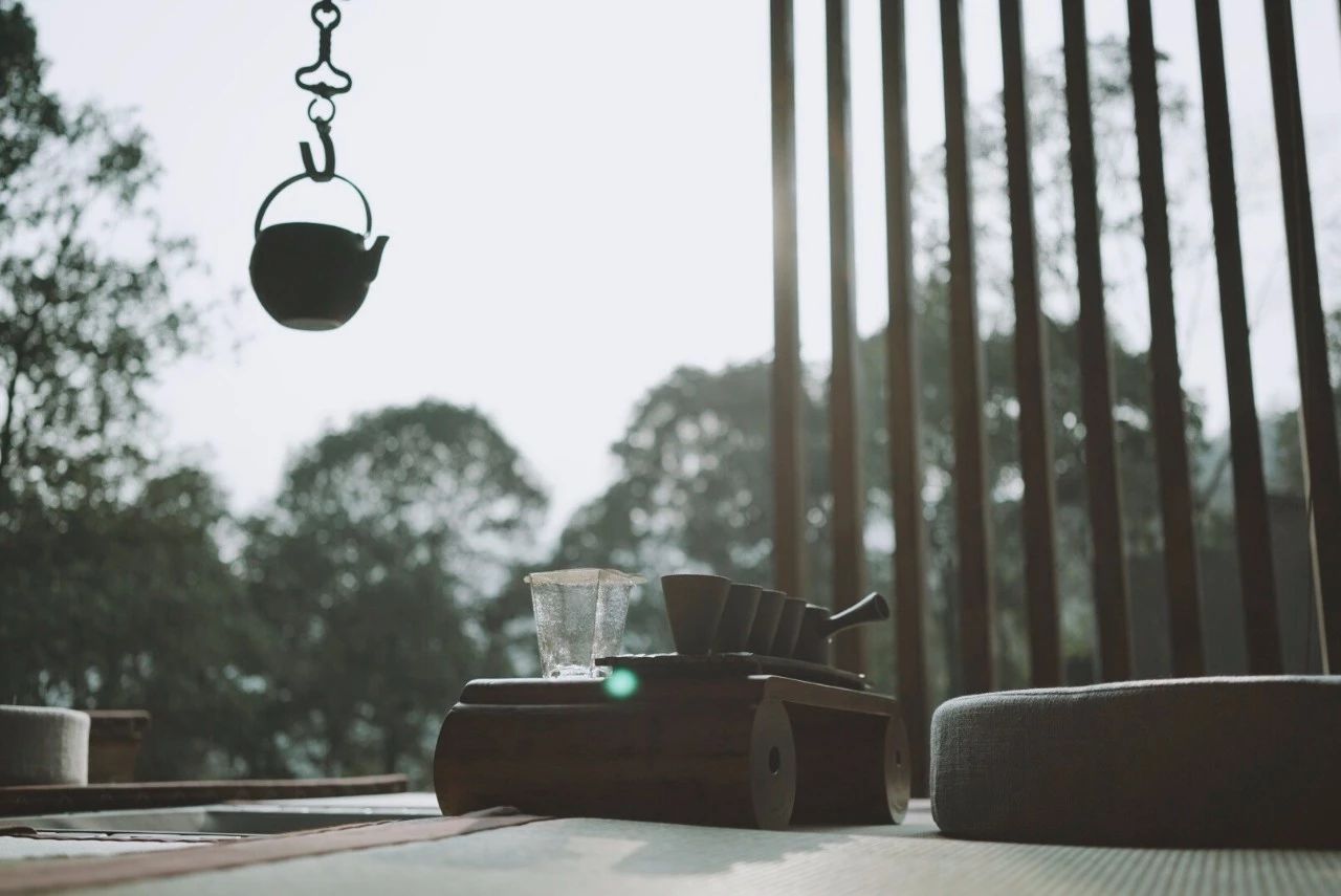 成都·坐忘森林，一宿一悟在火鍋之城住森林里