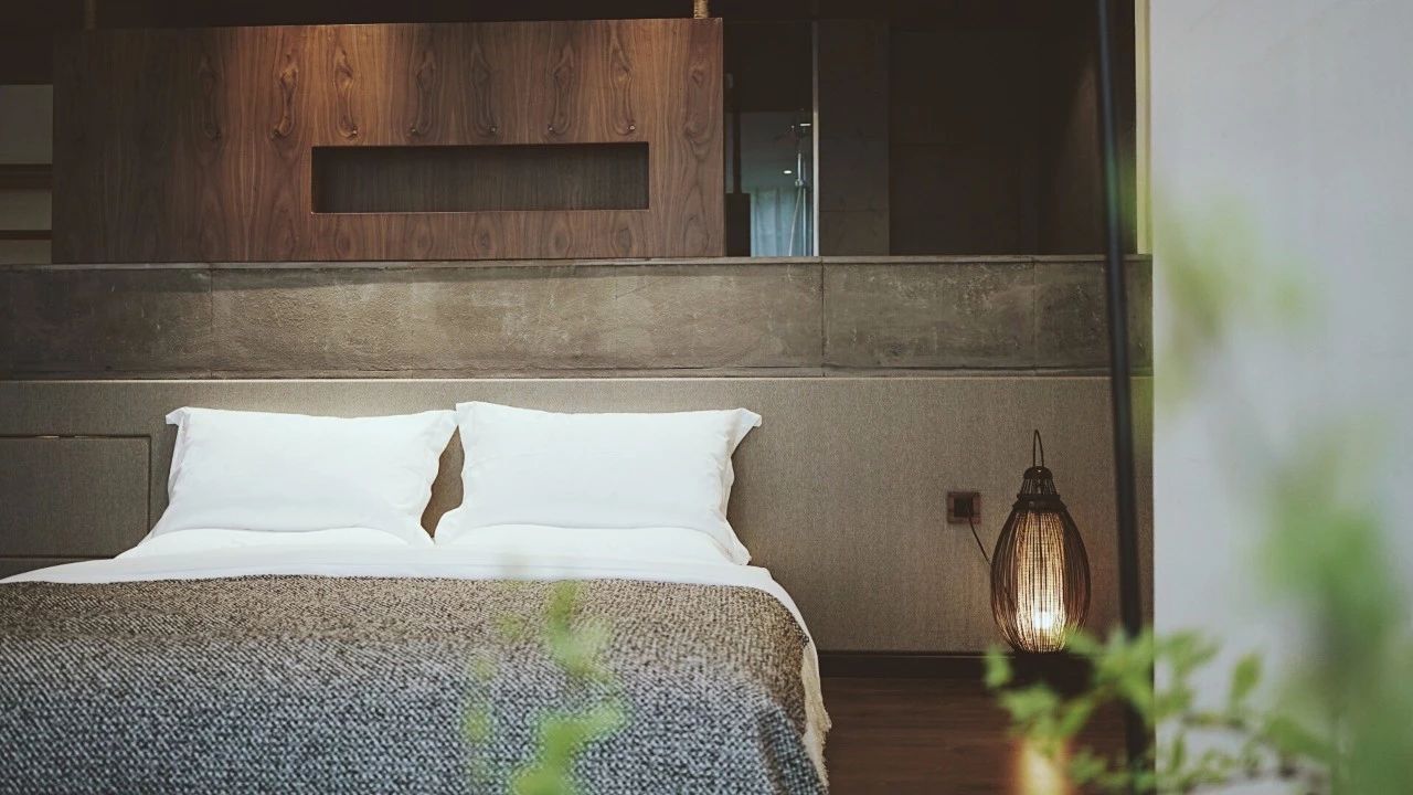 成都·坐忘森林，一宿一悟在火鍋之城住森林里