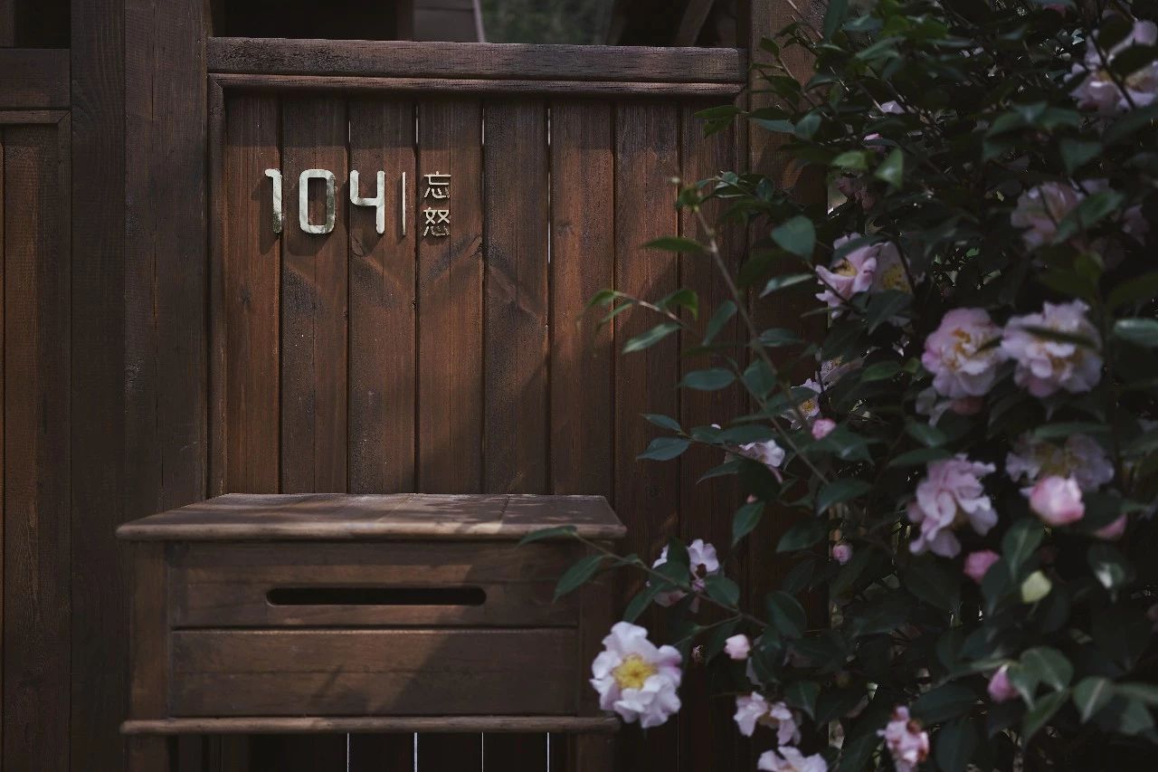 成都·坐忘森林，一宿一悟在火鍋之城住森林里