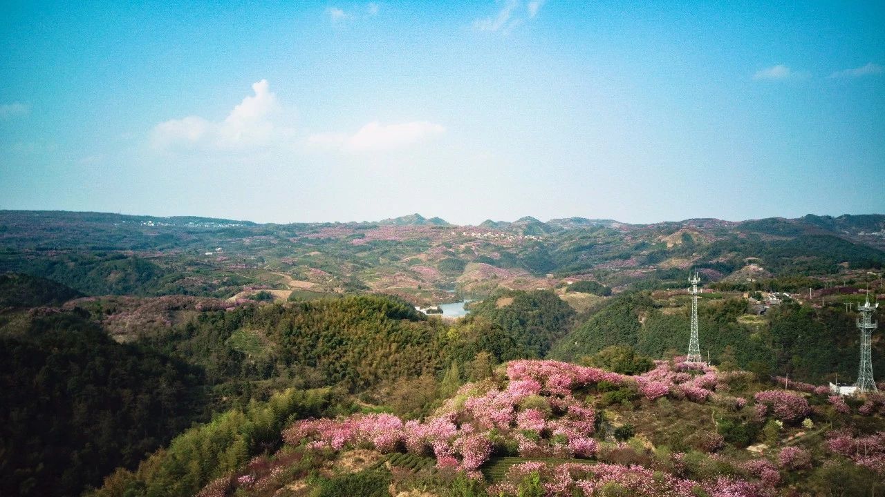 大樂之野·谷舍，遺忘的美好之地的正確打開方式