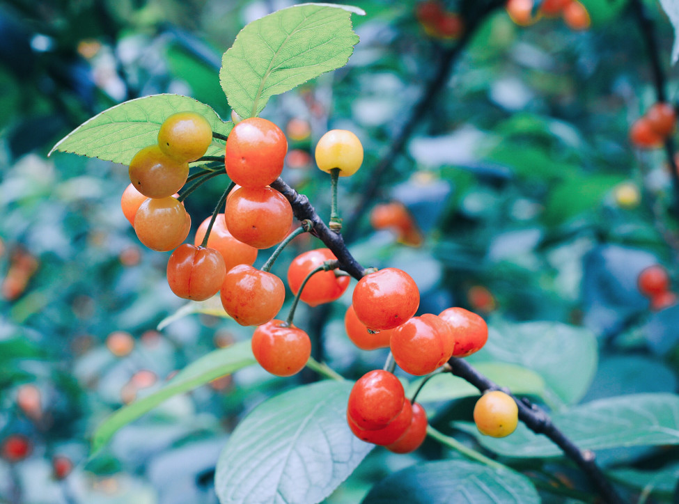 大樂之野·谷舍，遺忘的美好之地的正確打開方式