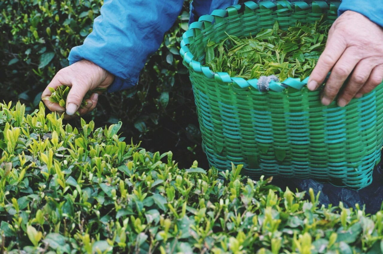 大樂之野·谷舍，遺忘的美好之地的正確打開方式