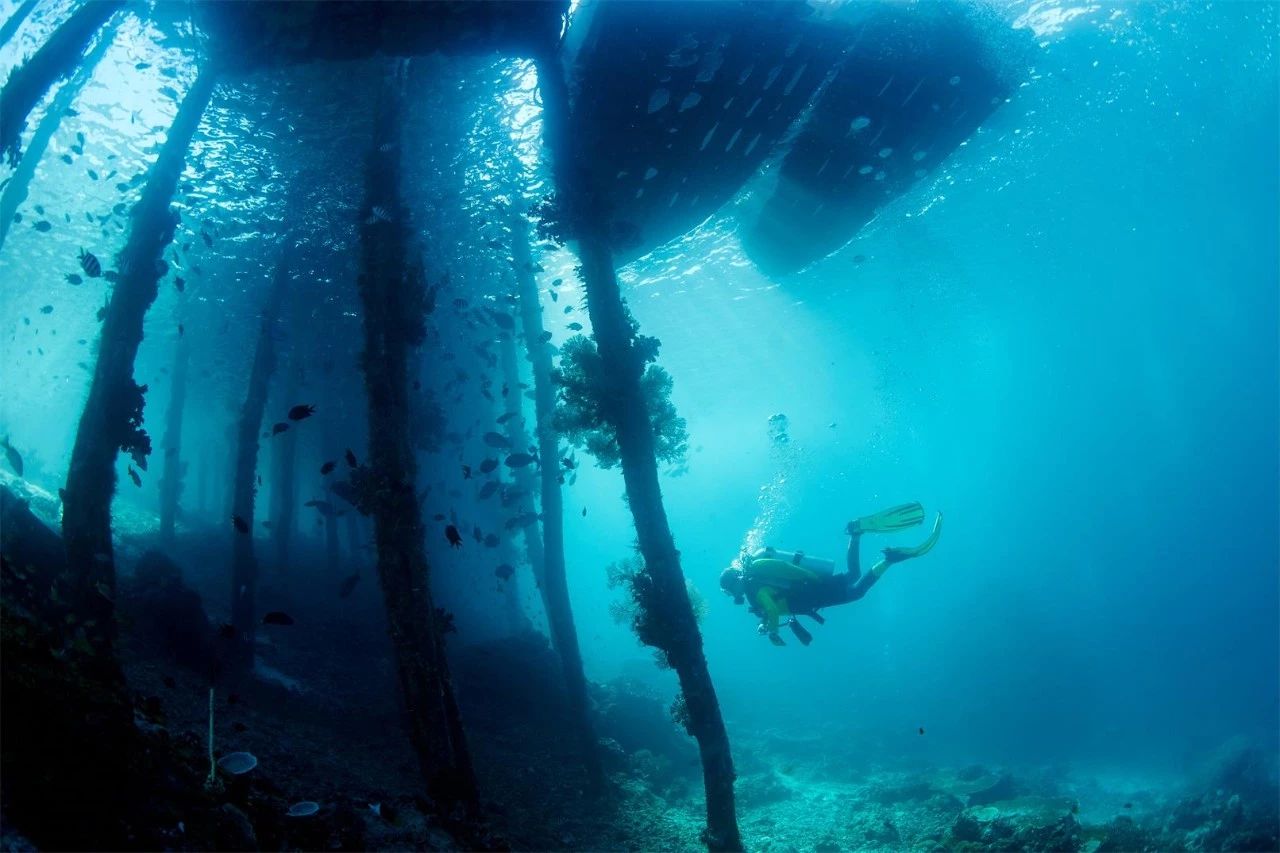 大理·沐林苑，擇一處小院賞四季明媚