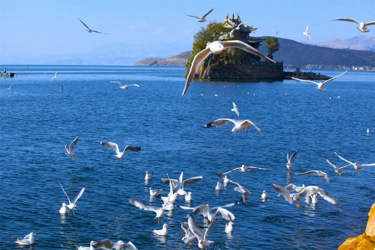 大理·沐林苑，擇一處小院賞四季明媚