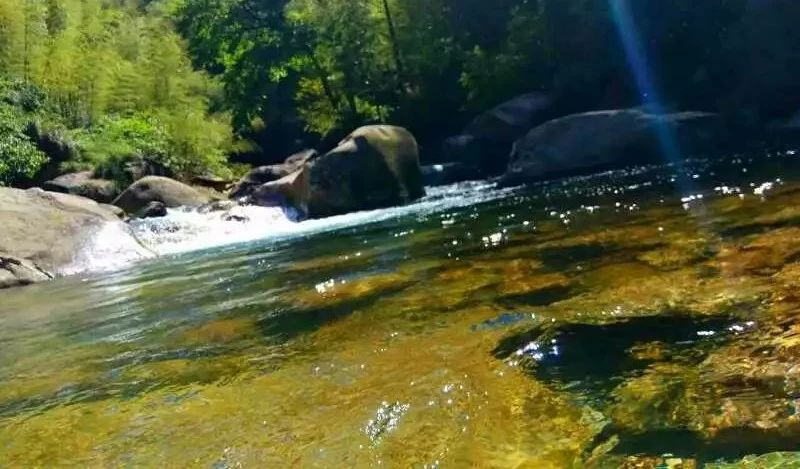 九華山·開元美途，置身俗塵外身心天地寬