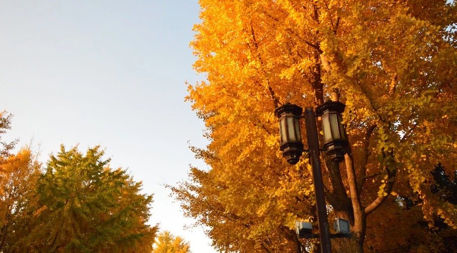 九華山·開元美途，置身俗塵外身心天地寬