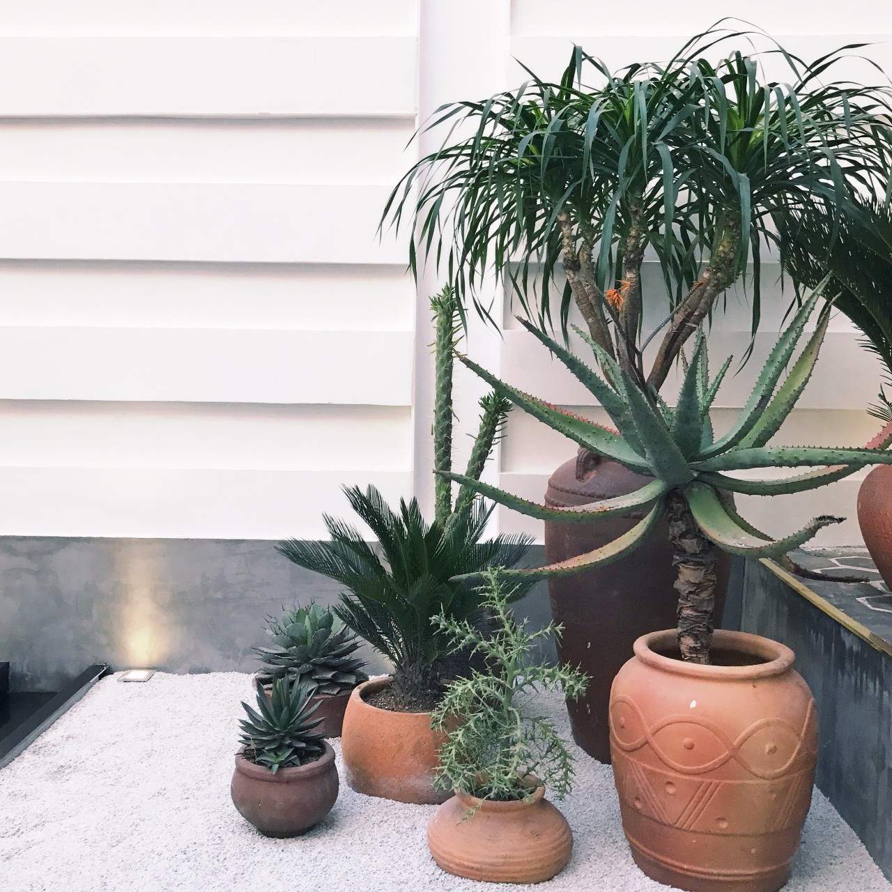 心湖·尚客堂，時光尚好待客尋來