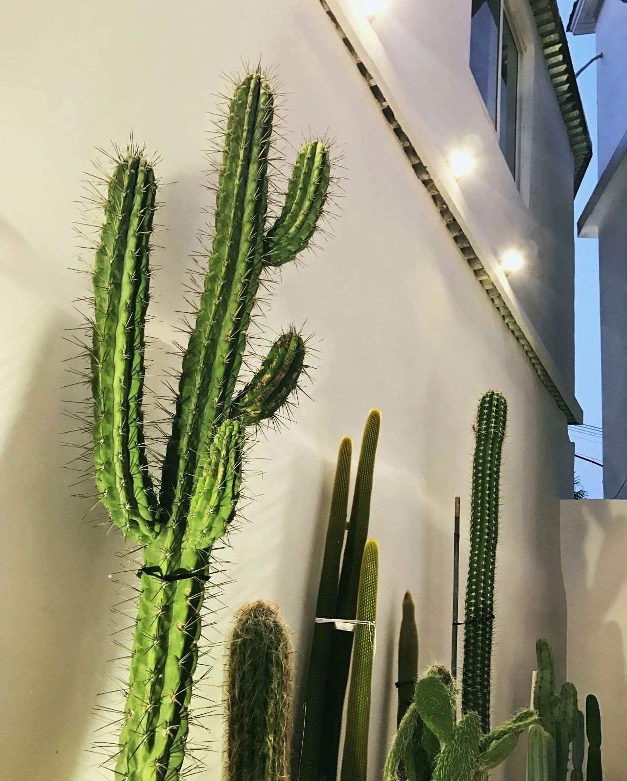 心湖·尚客堂，時光尚好待客尋來