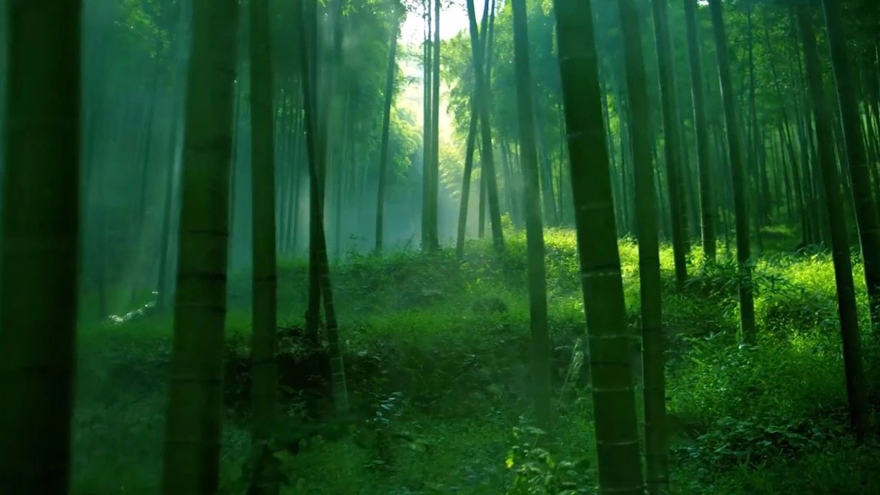 德清·莫干山諾富特酒店，找回初心永遠(yuǎn)不晚