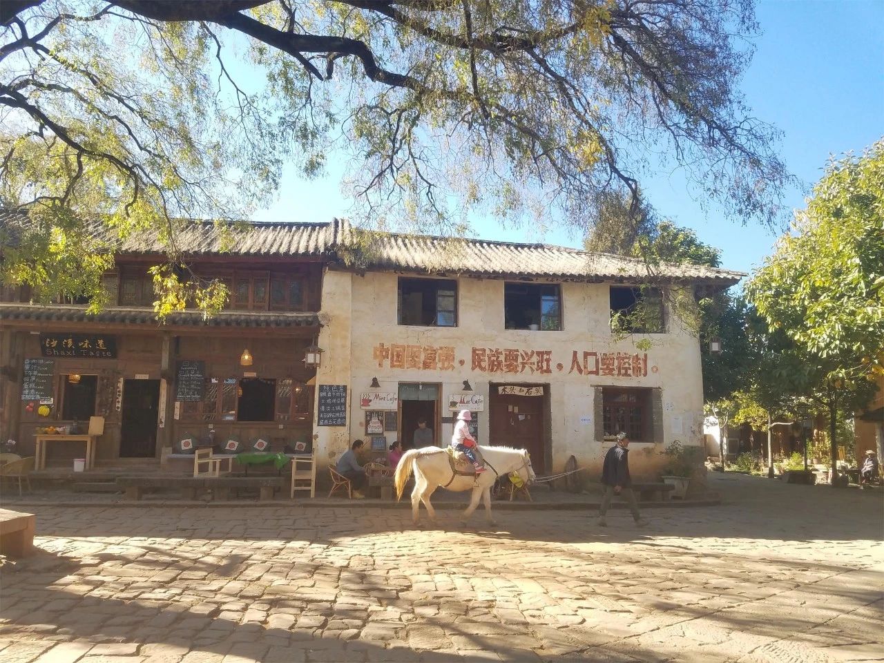 麗江·眾聚，等下一個(gè)輪回聚集一圈有趣的靈魂