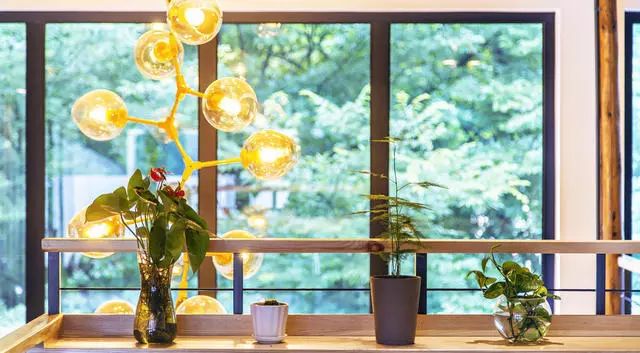 大樂之野·長丘田，許下每一個諾言都令人期待