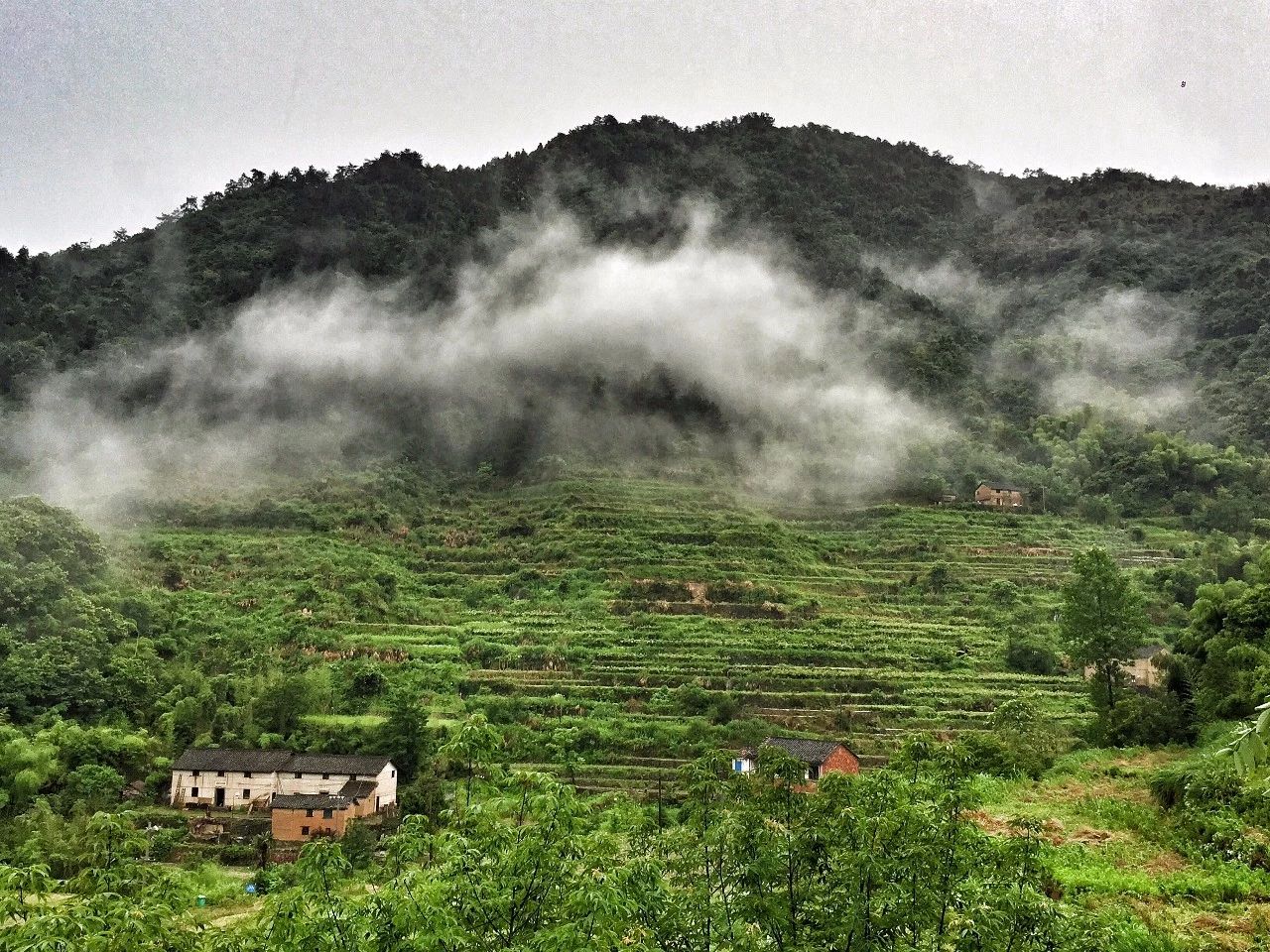 大樂之野·長丘田，許下每一個諾言都令人期待