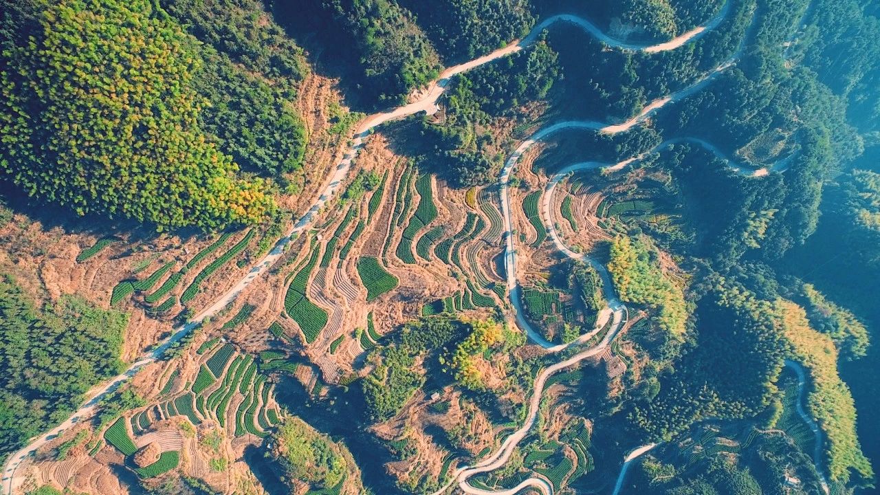 大樂之野·長丘田，許下每一個諾言都令人期待