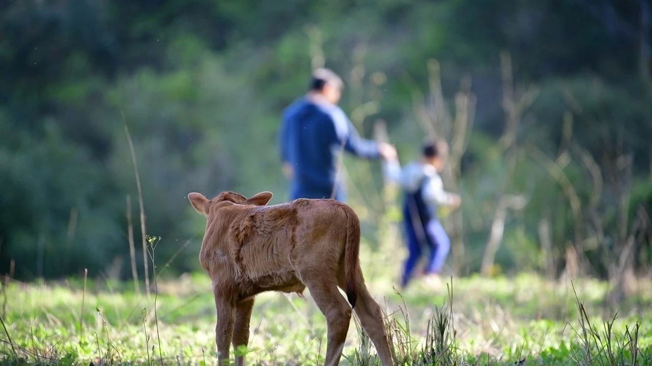 大樂之野·長丘田，許下每一個諾言都令人期待