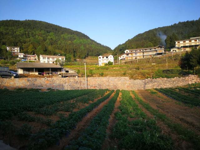 智派公寓，工作不如意的時候生活還能擁抱你！