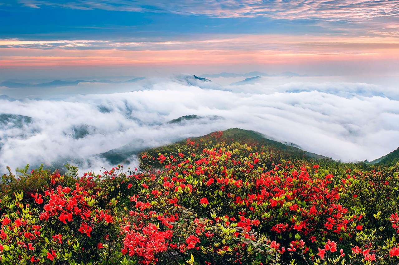 麗水云和·在田間，中國(guó)傳統(tǒng)水墨山水的意境