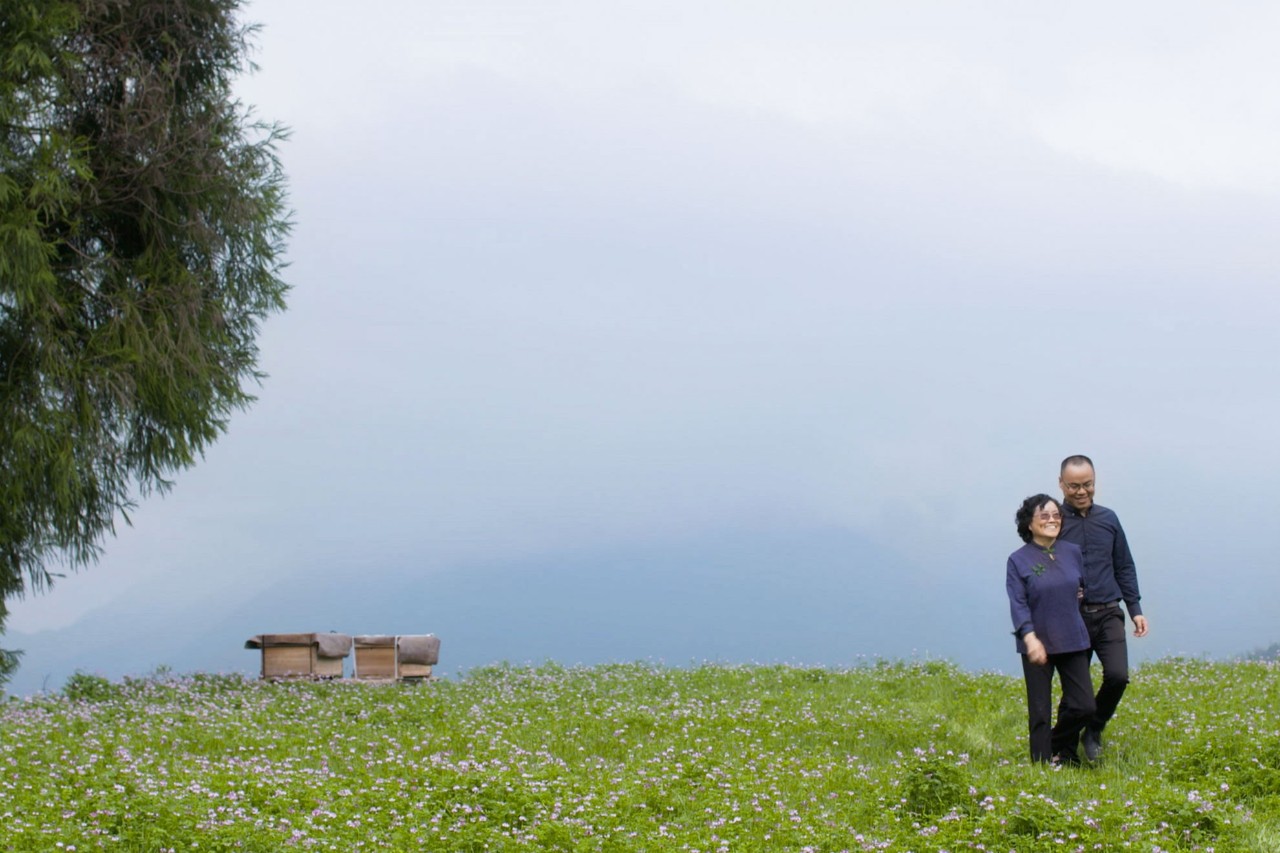 麗水云和·在田間，中國傳統(tǒng)水墨山水的意境