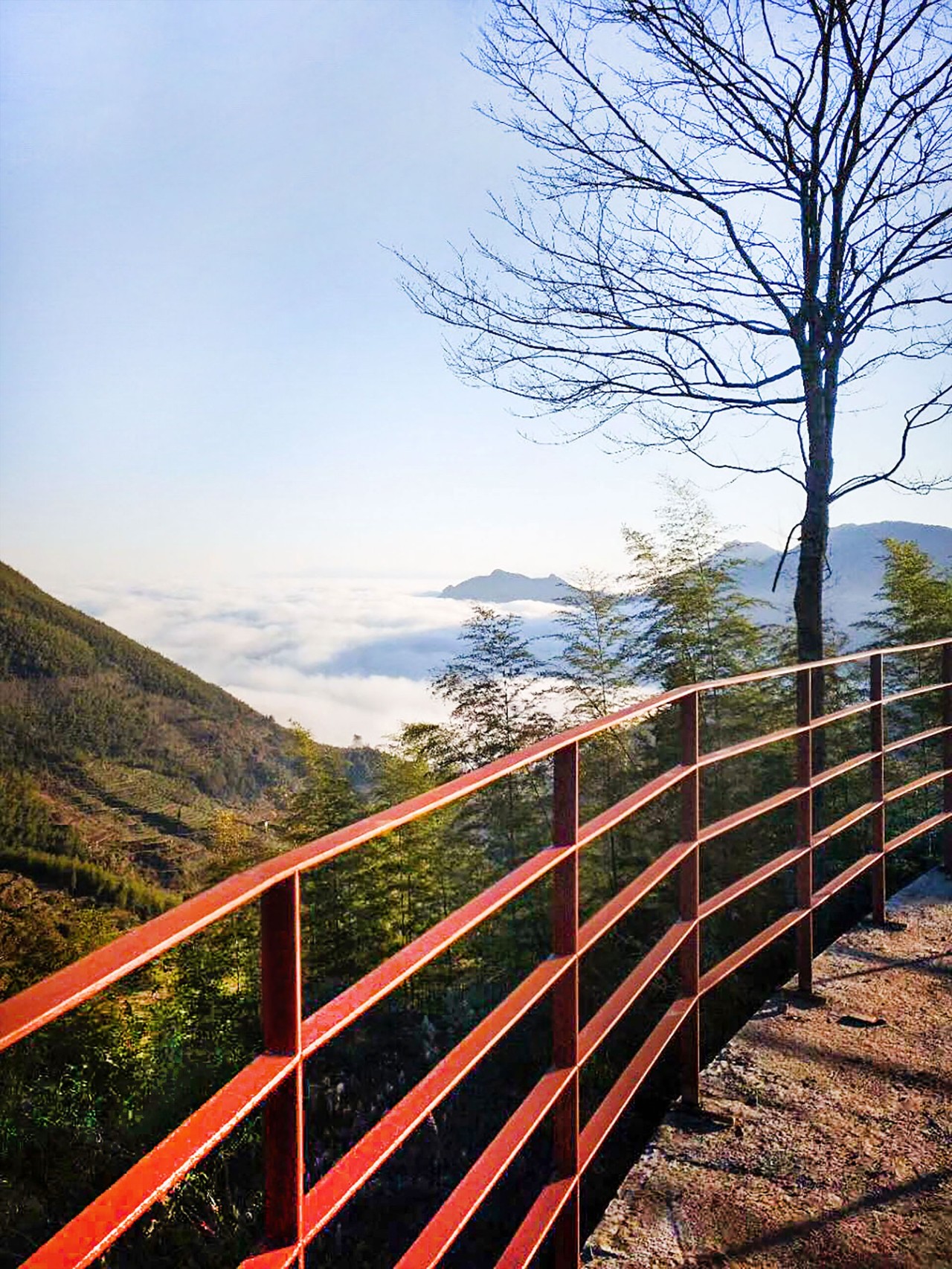 麗水云和·在田間，中國傳統(tǒng)水墨山水的意境