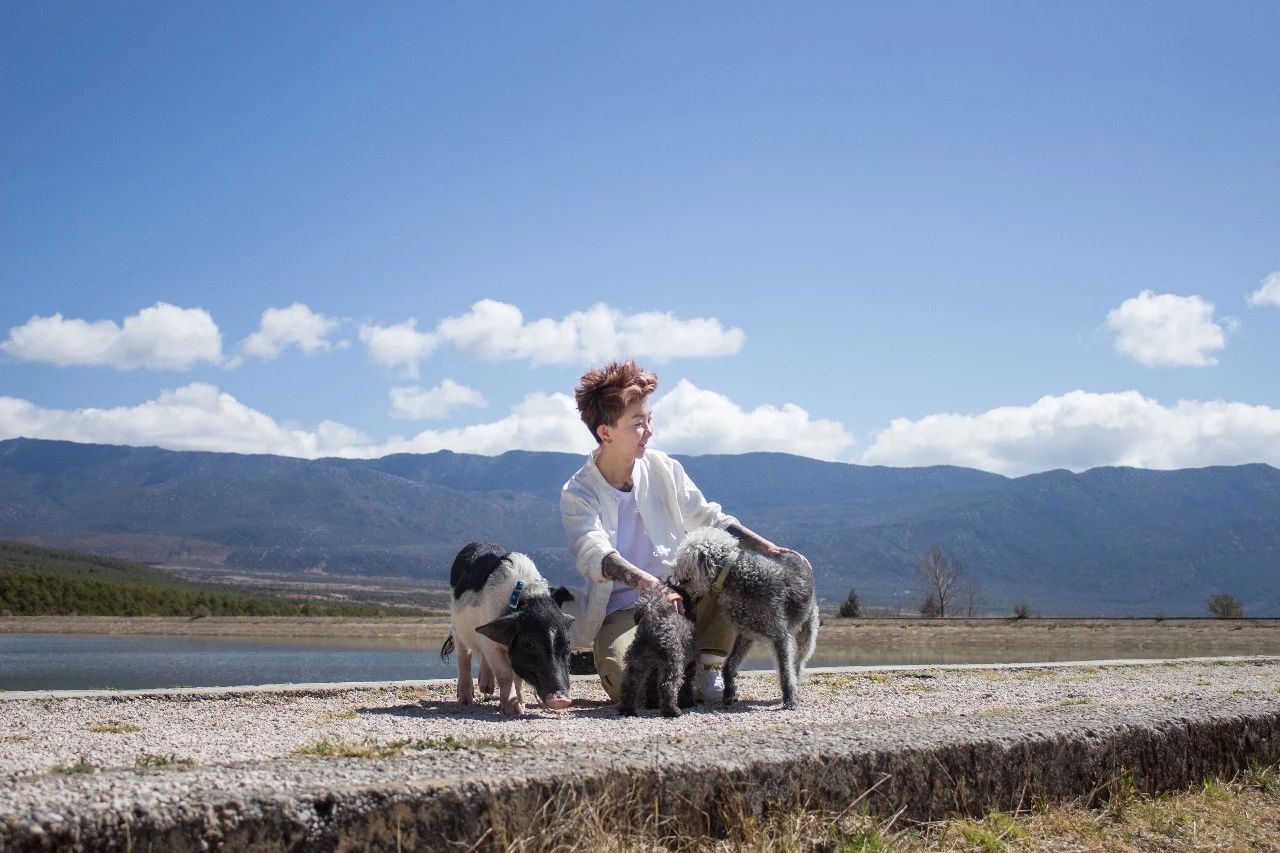 麗江·浮云社，將一切凡塵俗世都看作浮云