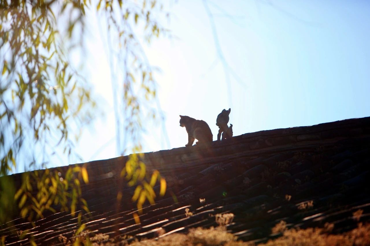 麗江·浮云社，將一切凡塵俗世都看作浮云