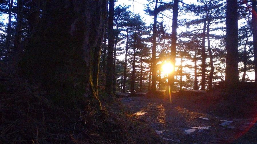 麻城·云夢如故，山里的房子就該有山里的味道