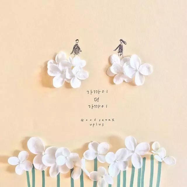 一組創(chuàng)意花瓣插畫，小清新唯美手繪插畫