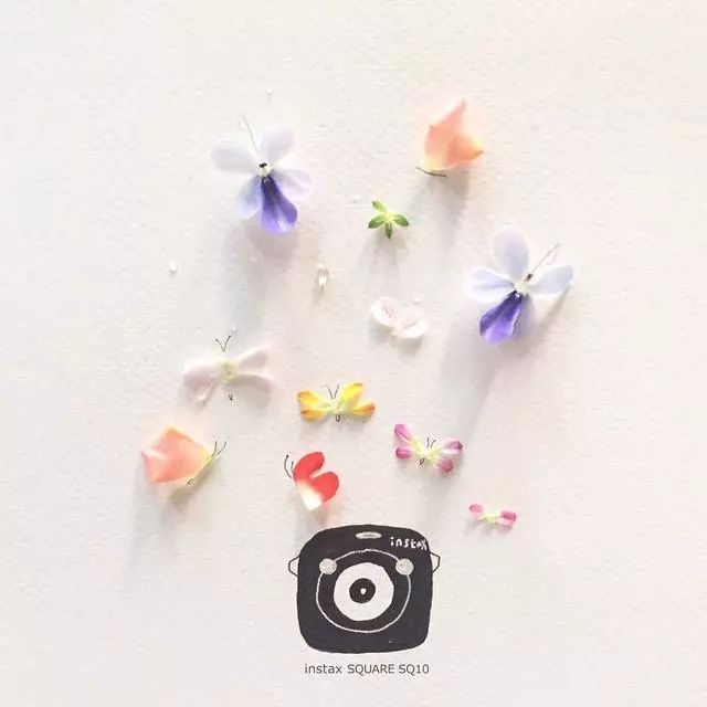 一組創(chuàng)意花瓣插畫，小清新唯美手繪插畫