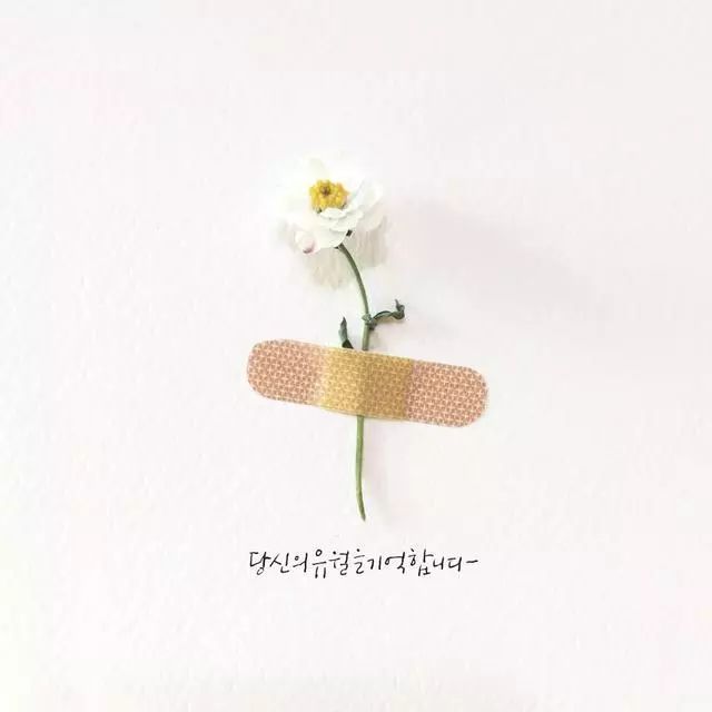 一組創(chuàng)意花瓣插畫，小清新唯美手繪插畫