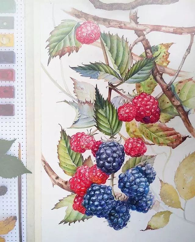 超逼真的水彩手繪插畫，小清新植物插畫圖片