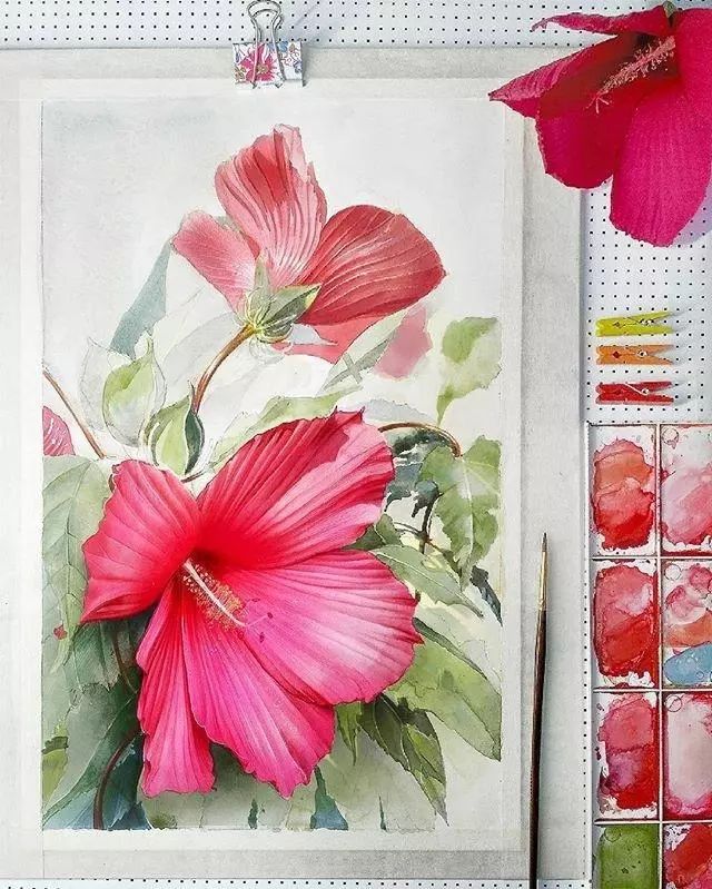 超逼真的水彩手繪插畫，小清新植物插畫圖片