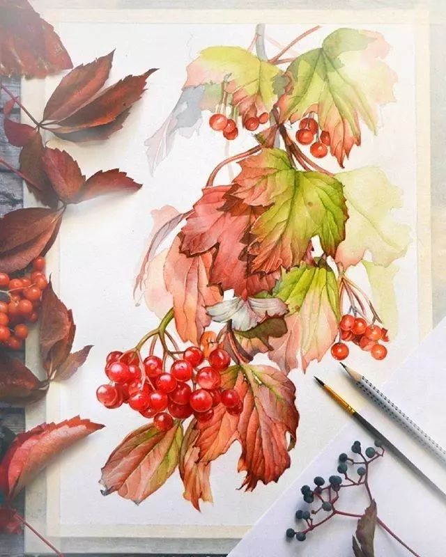 超逼真的水彩手繪插畫，小清新植物插畫圖片