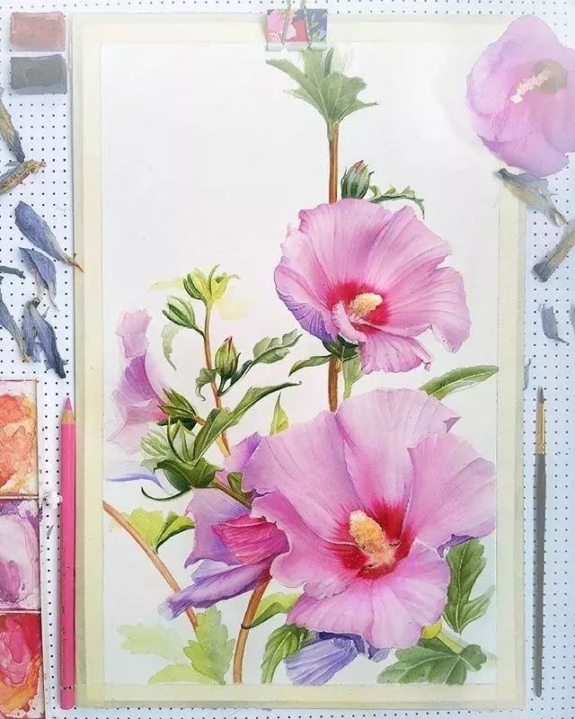 超逼真的水彩手繪插畫(huà)，小清新植物插畫(huà)圖片