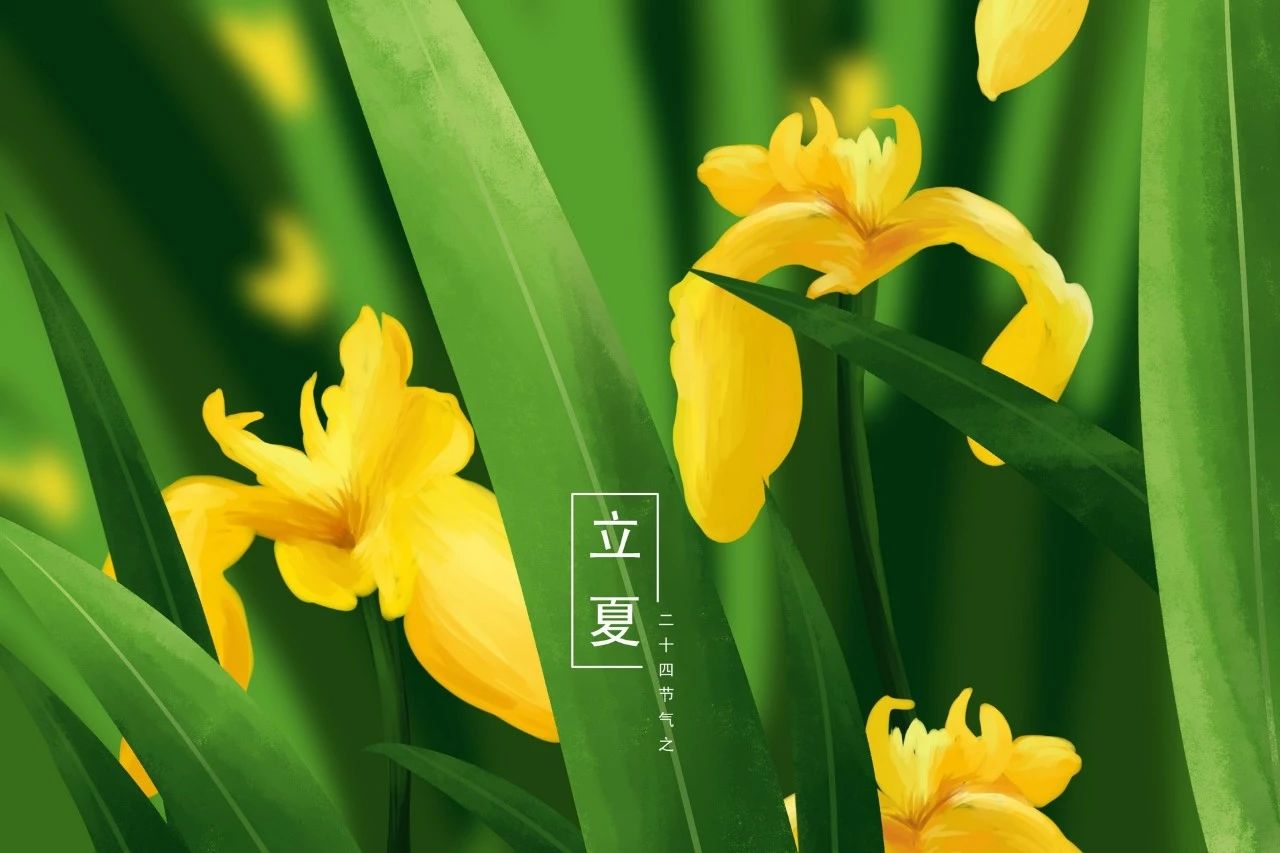 唯美古風句子：最美的十首夏日詩詞!