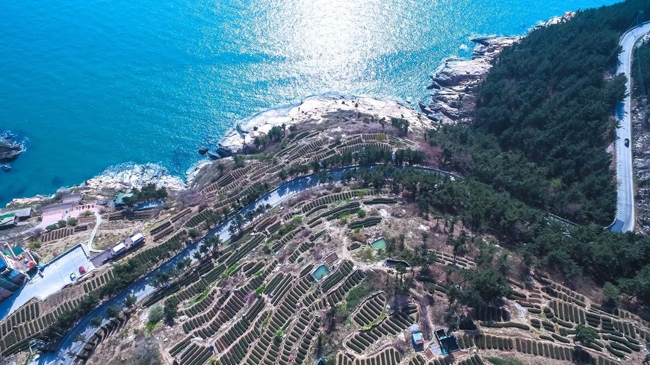 青島·瑞宿海棲，等你來就讓瑞宿帶你環(huán)游青島