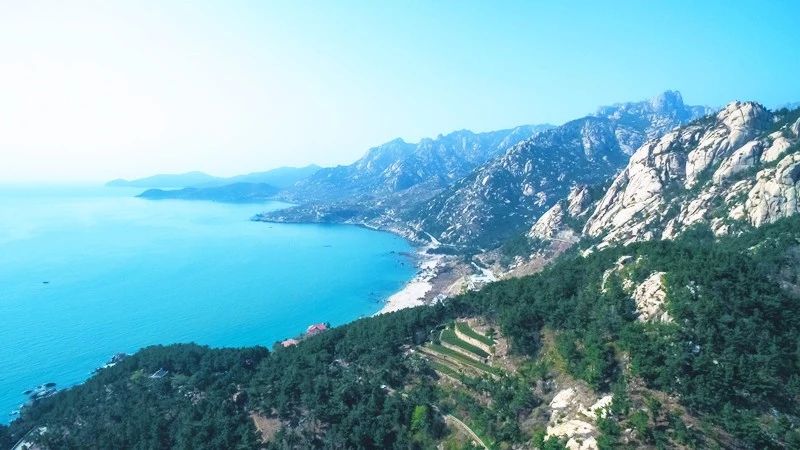 青島·瑞宿海棲，等你來就讓瑞宿帶你環(huán)游青島